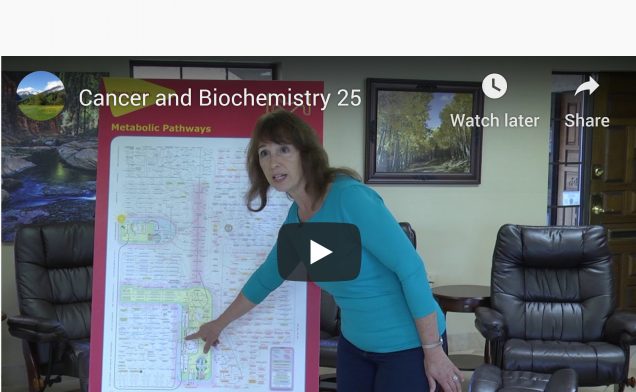 Cancer & Biochemistry 25