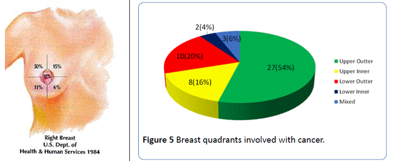 Breast cancer data in pie chart