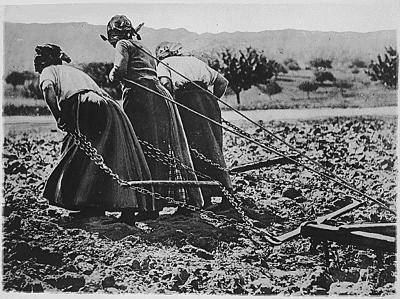 Farmers in 1914